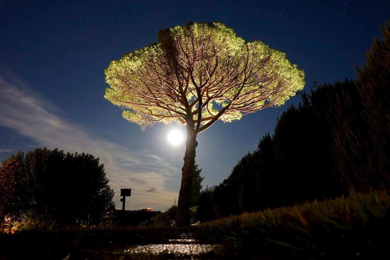 Agriturismo Buon Riposo - Country Resort In The Heart Of Tuscany San Giovanni a Corazzano Kültér fotó