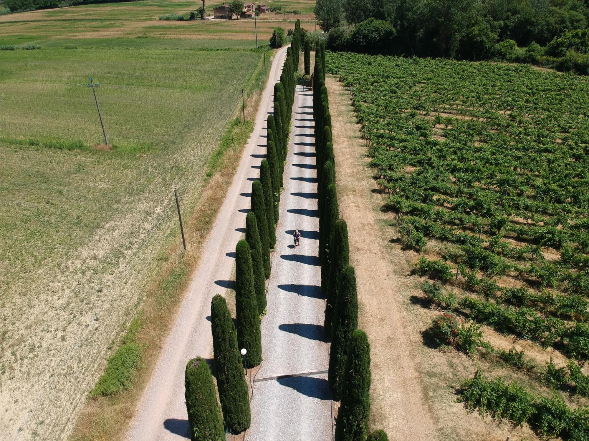 Agriturismo Buon Riposo - Country Resort In The Heart Of Tuscany San Giovanni a Corazzano Kültér fotó