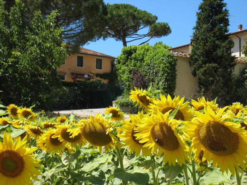 Agriturismo Buon Riposo - Country Resort In The Heart Of Tuscany San Giovanni a Corazzano Kültér fotó
